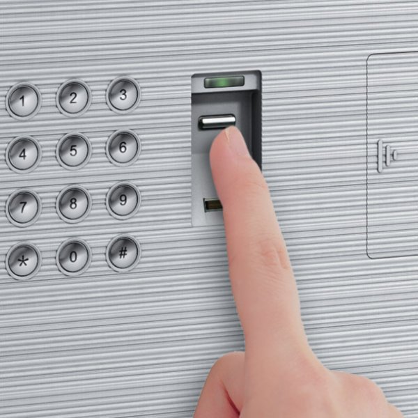 画像2: エーコー D-FACE DFS1-FE 送料無料 (2)