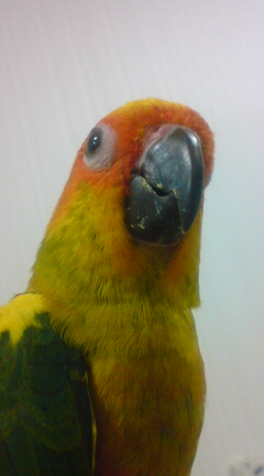 test！
